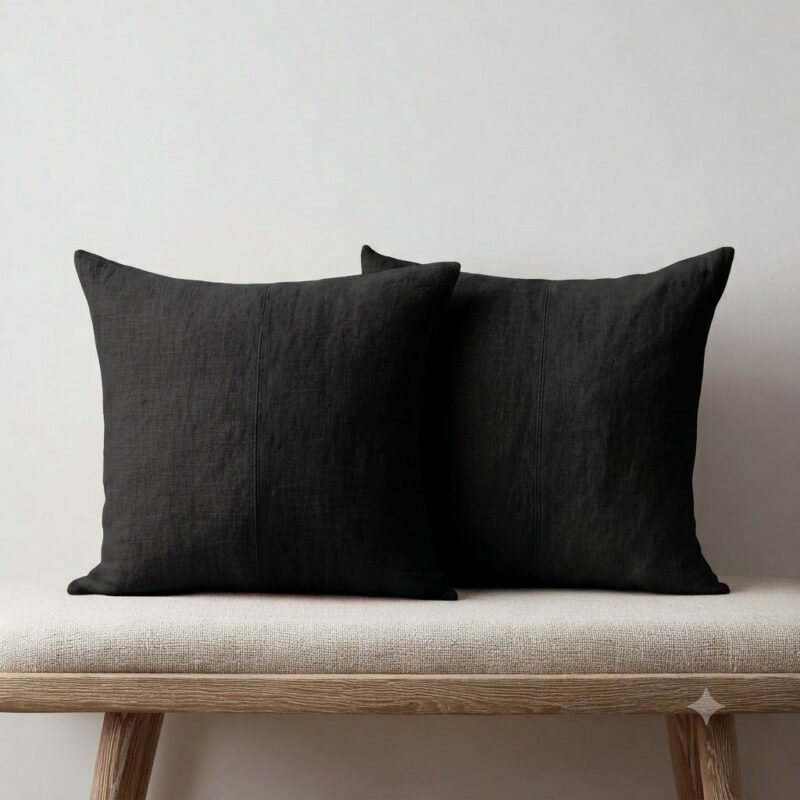 Black Throw Pillows — on a sofa